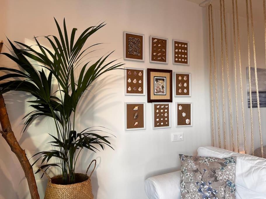 Ocean Dream Apartments - Lovely Sea View Studio Apartment 5Min From Beach San Marcos  Esterno foto